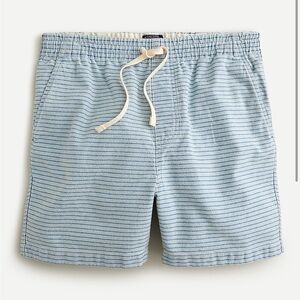 J. Crew Men’s Dock Shorts in Indigo Stripe